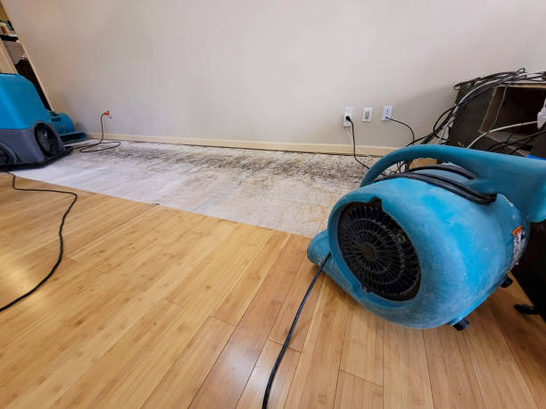 Professional Flood Damage Cleanup technician working in Colfax, IA